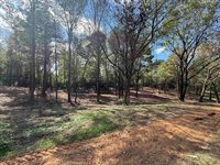 232 Co Rd 1123, Vinemont, AL 35179