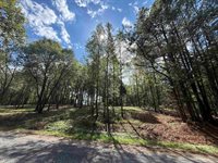 232 Co Rd 1123, Vinemont, AL 35179