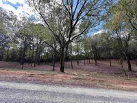 258 Co Rd 1123, Vinemont, AL 35179