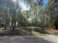 258 Co Rd 1123, Vinemont, AL 35179
