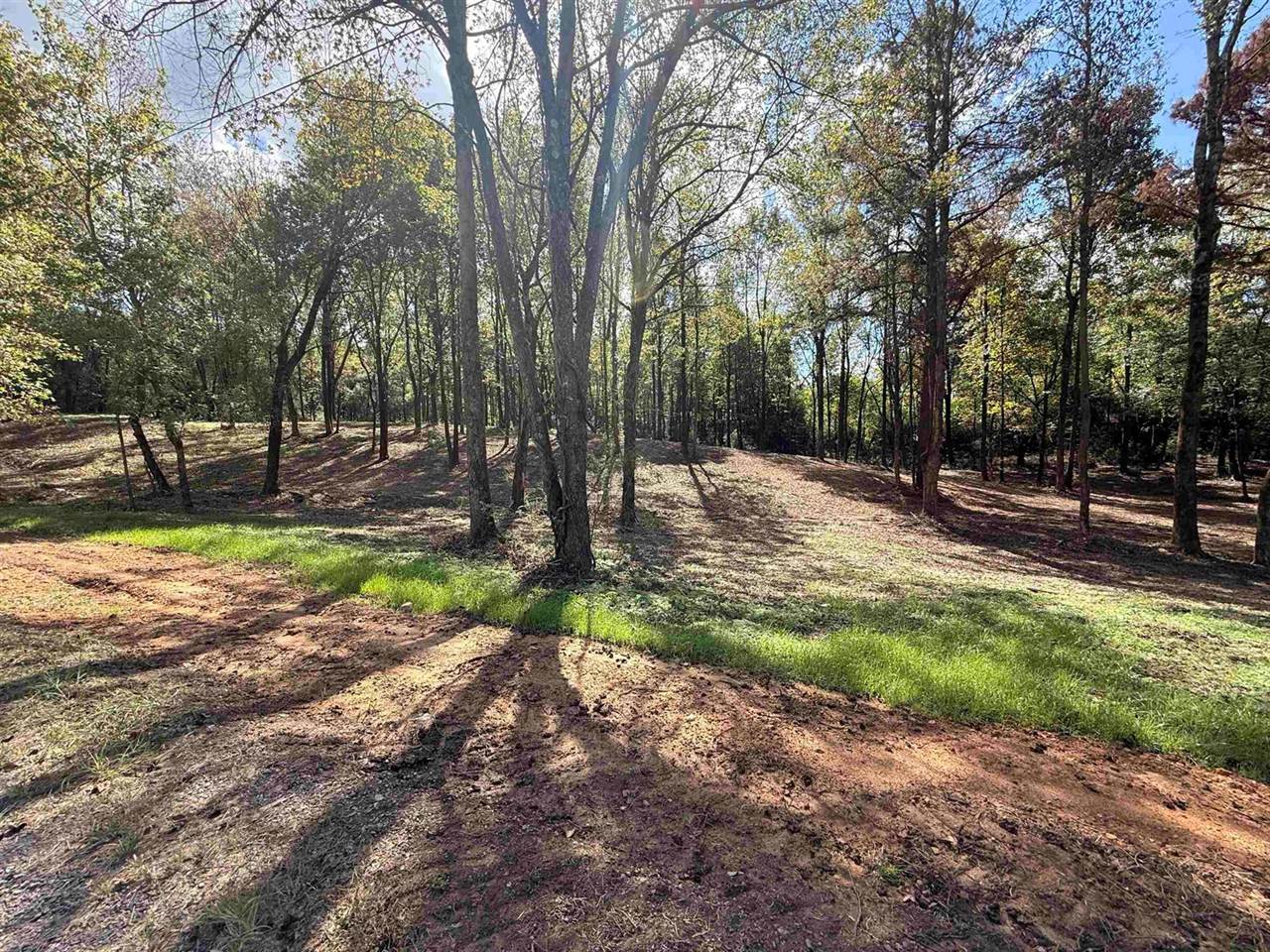 288 Co Rd 1123, Vinemont, AL 35179