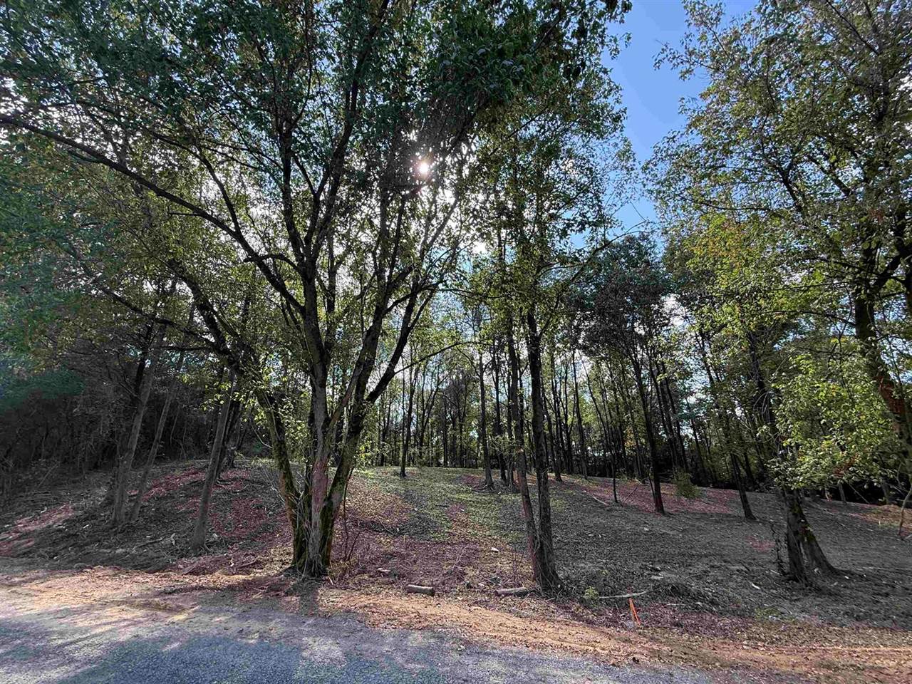 310 Co Rd 1123, Vinemont, AL 35179