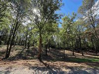 310 Co Rd 1123, Vinemont, AL 35179