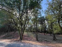 310 Co Rd 1123, Vinemont, AL 35179