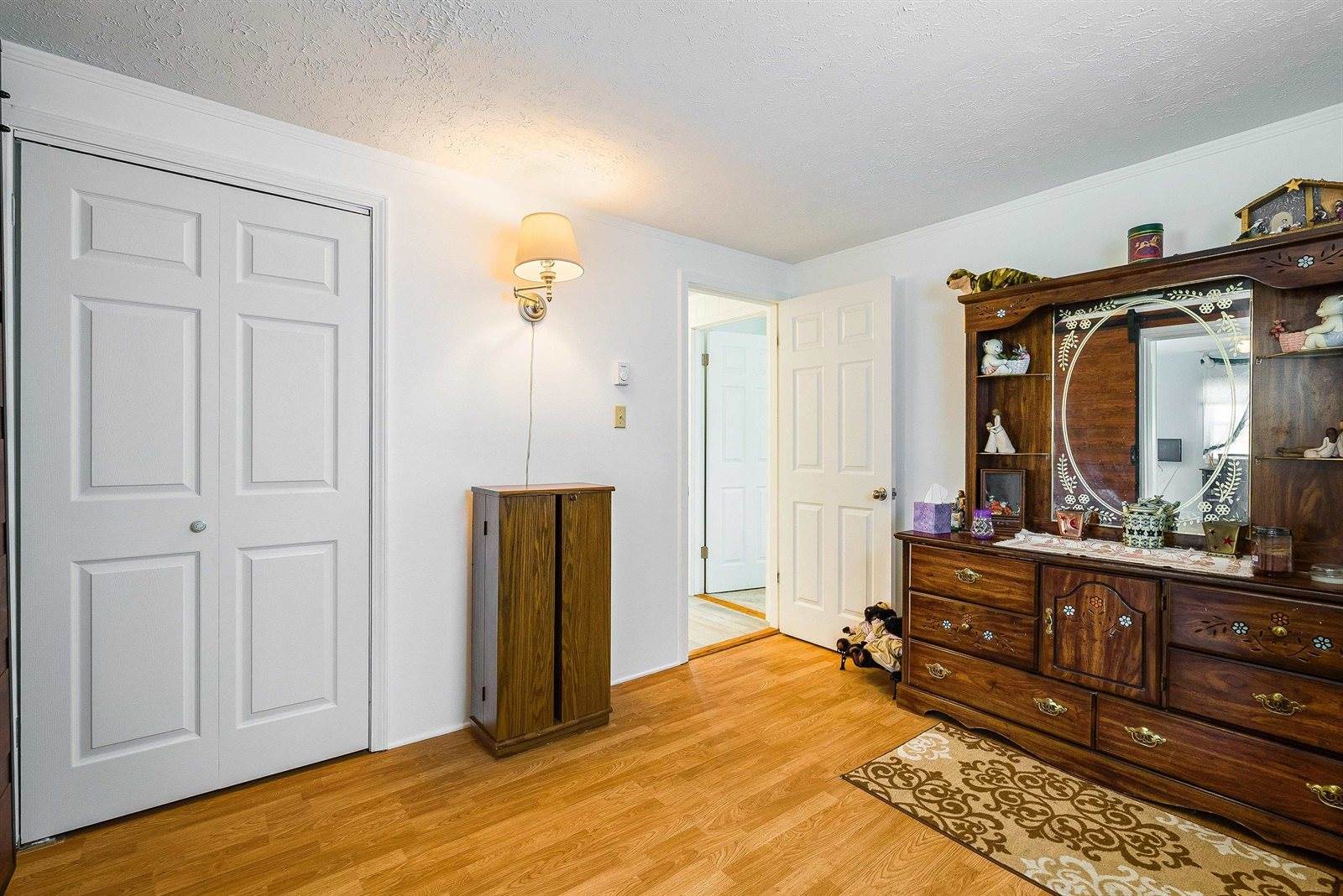 311 Williams Ave, Shenandoah, VA 22849