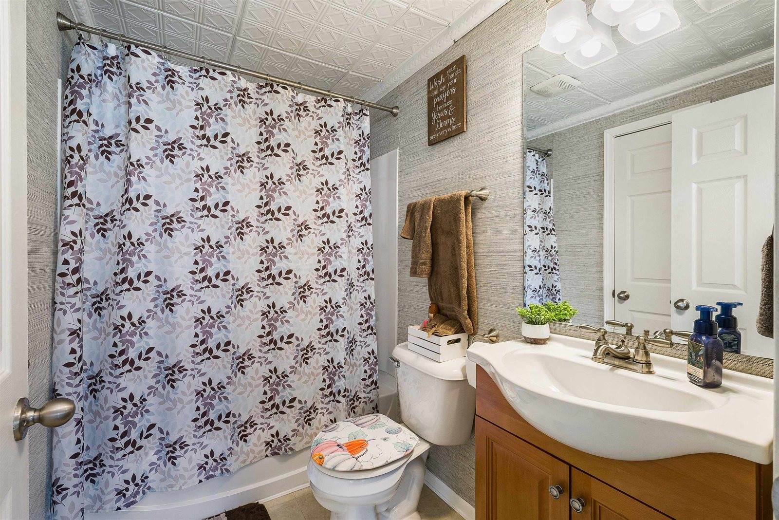 311 Williams Ave, Shenandoah, VA 22849