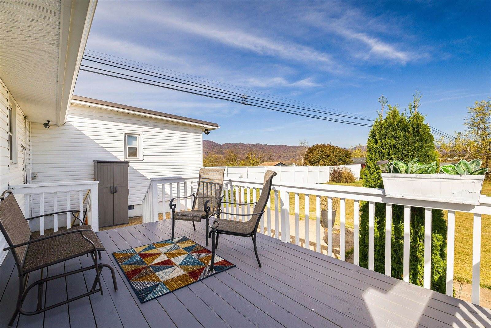 311 Williams Ave, Shenandoah, VA 22849