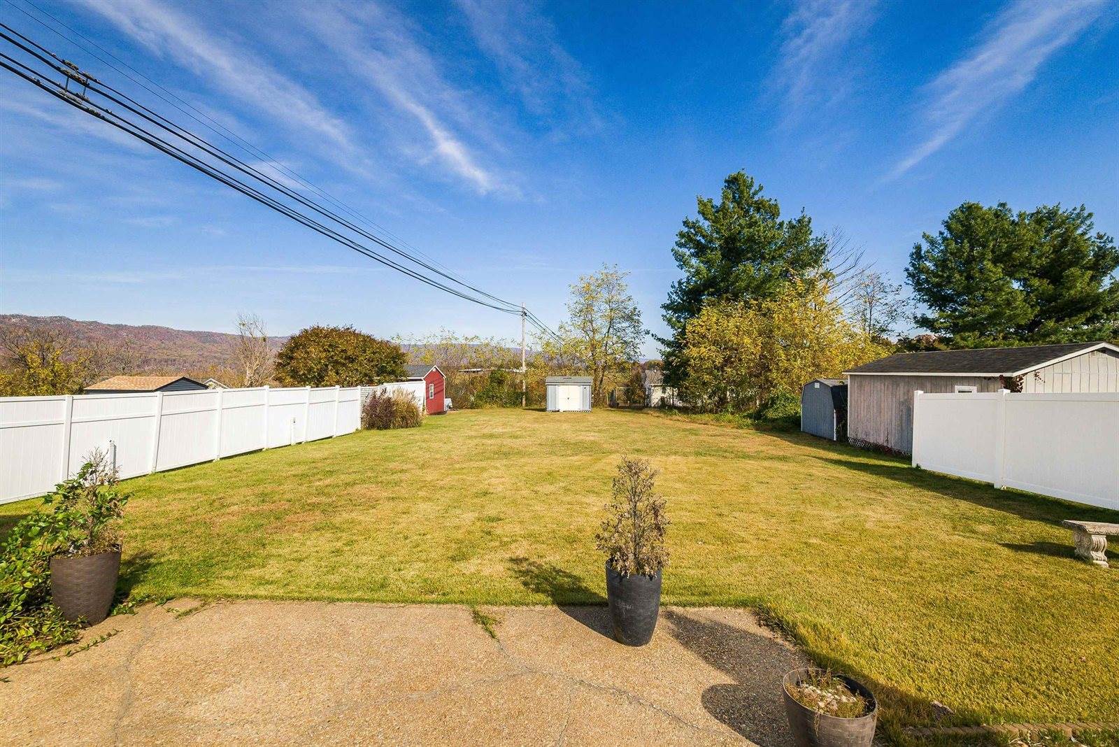 311 Williams Ave, Shenandoah, VA 22849