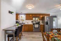 311 Williams Ave, Shenandoah, VA 22849