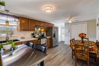 311 Williams Ave, Shenandoah, VA 22849