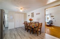 311 Williams Ave, Shenandoah, VA 22849