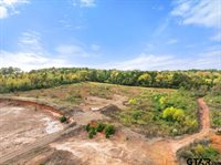 15412 Hwy 110 S, Whitehouse, TX 75791