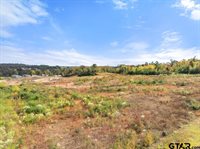 15412 Hwy 110 S, Whitehouse, TX 75791