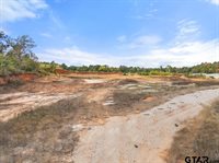 15374 Hwy 110 S, Whitehouse, TX 75791