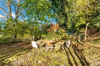 412 Winfield Street, Bridgeville, PA 15017