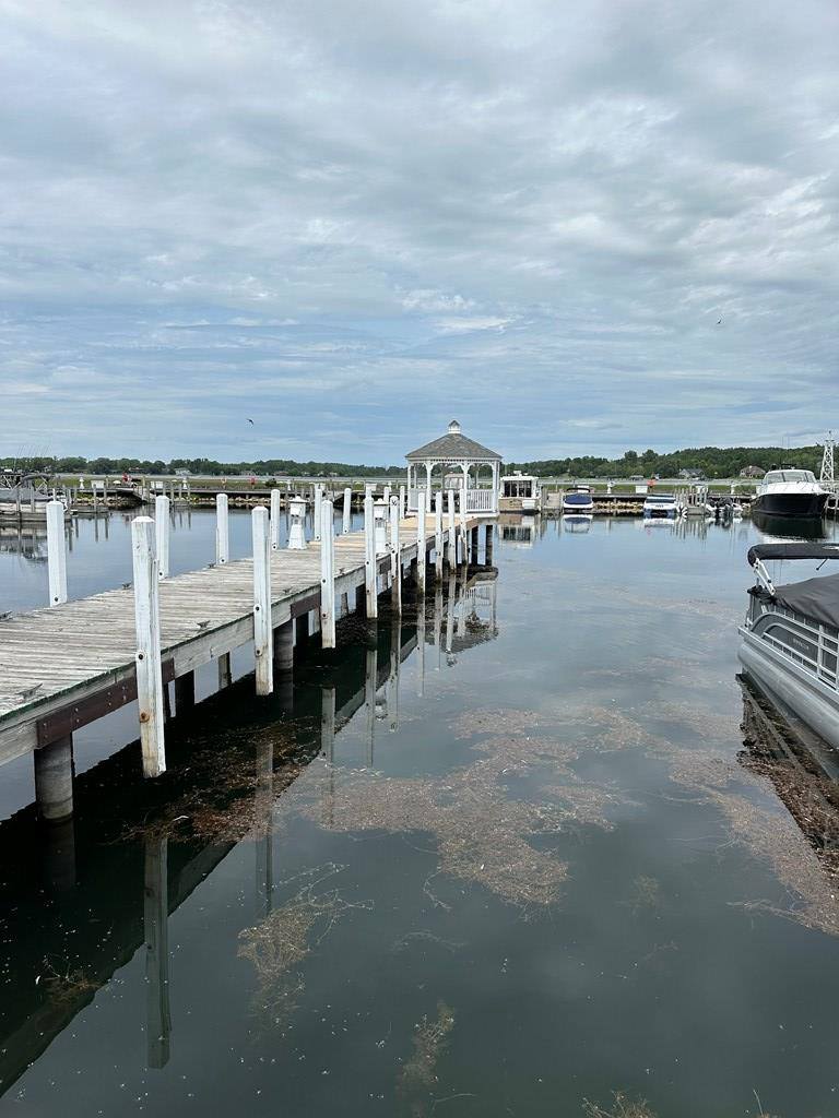 Lot #14 Tacoma Beach Rd, Sturgeon Bay, WI 54235