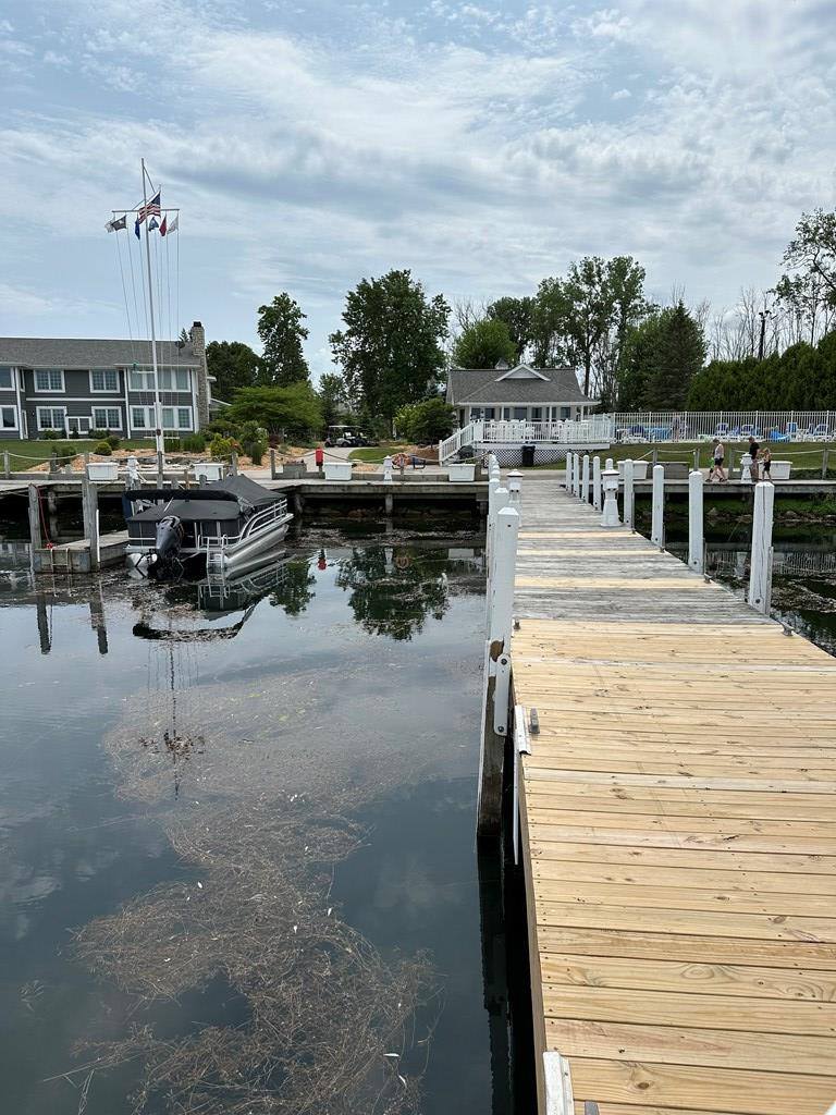 Lot #14 Tacoma Beach Rd, Sturgeon Bay, WI 54235