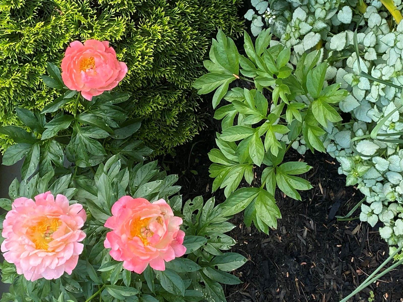 104 Evergreen Drive, Waterville, ME 04901