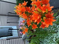 104 Evergreen Drive, Waterville, ME 04901