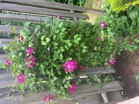 104 Evergreen Drive, Waterville, ME 04901