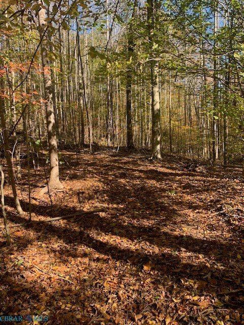 0000 Off T.C. Walker Road, Gloucester, VA 23061