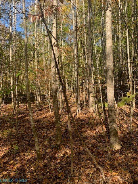 0000 Off T.C. Walker Road, Gloucester, VA 23061