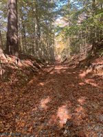 0000 Off T.C. Walker Road, Gloucester, VA 23061