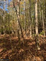 0000 Off T.C. Walker Road, Gloucester, VA 23061