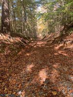 0000 Off T.C. Walker Road, Gloucester, VA 23061