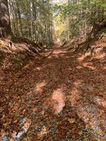 0000 Off T.C. Walker Road, Gloucester, VA 23061