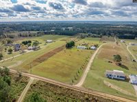 323 Peele, Swansea, SC 29160