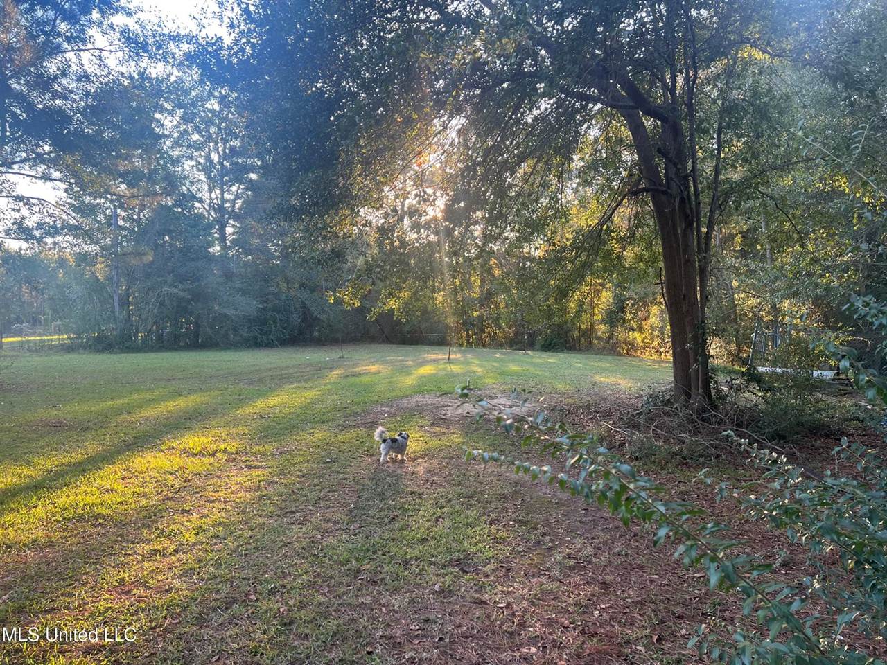 197 Halbert Thames Road, Magee, MS 39111