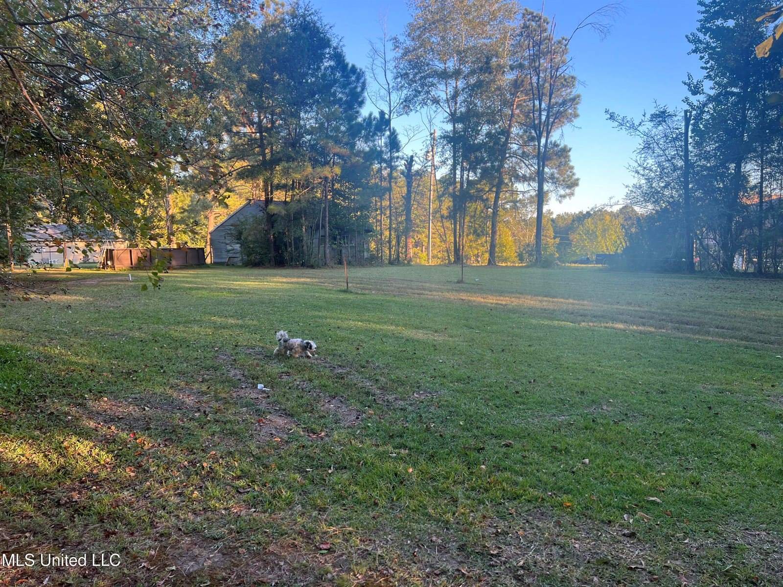 197 Halbert Thames Road, Magee, MS 39111