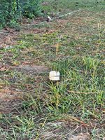 197 Halbert Thames Road, Magee, MS 39111