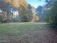 197 Halbert Thames Road, Magee, MS 39111
