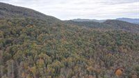 0 North Fork Rd 37.9 acres, Amherst, VA 24521