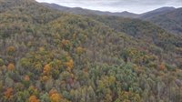 0 North Fork Rd 37.9 acres, Amherst, VA 24521