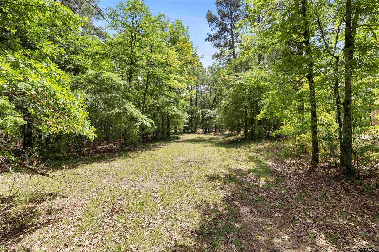 15042 Canopy Oaks, Tyler, TX 75707