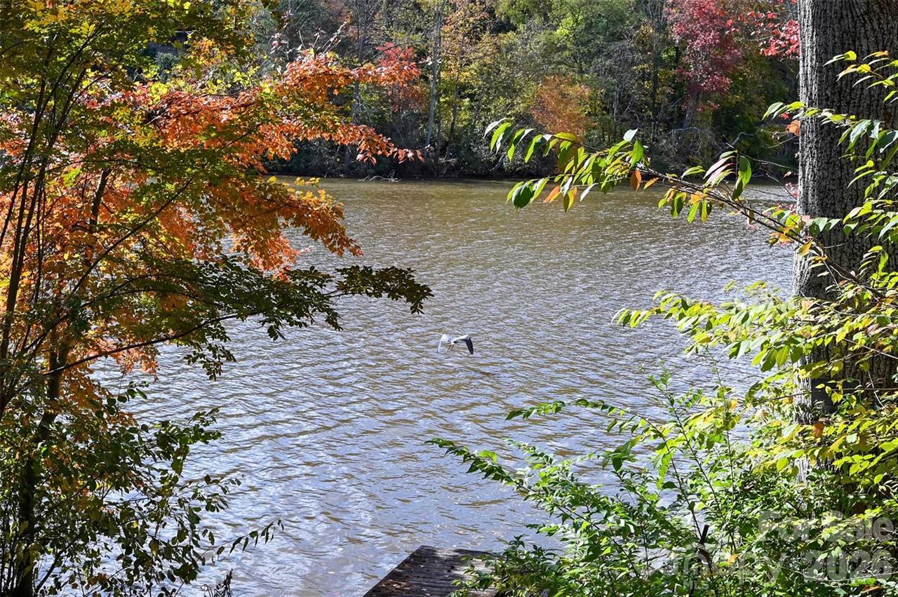 22 East Shore Drive, Asheville, NC 28805