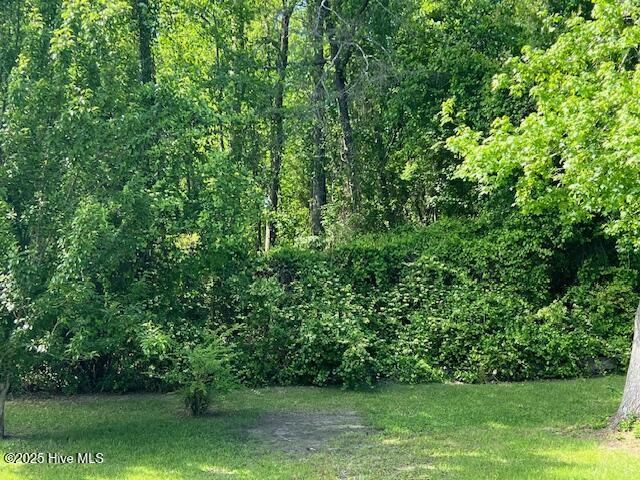 154 Rosslyn Chapel Lane, Cameron, NC 28326