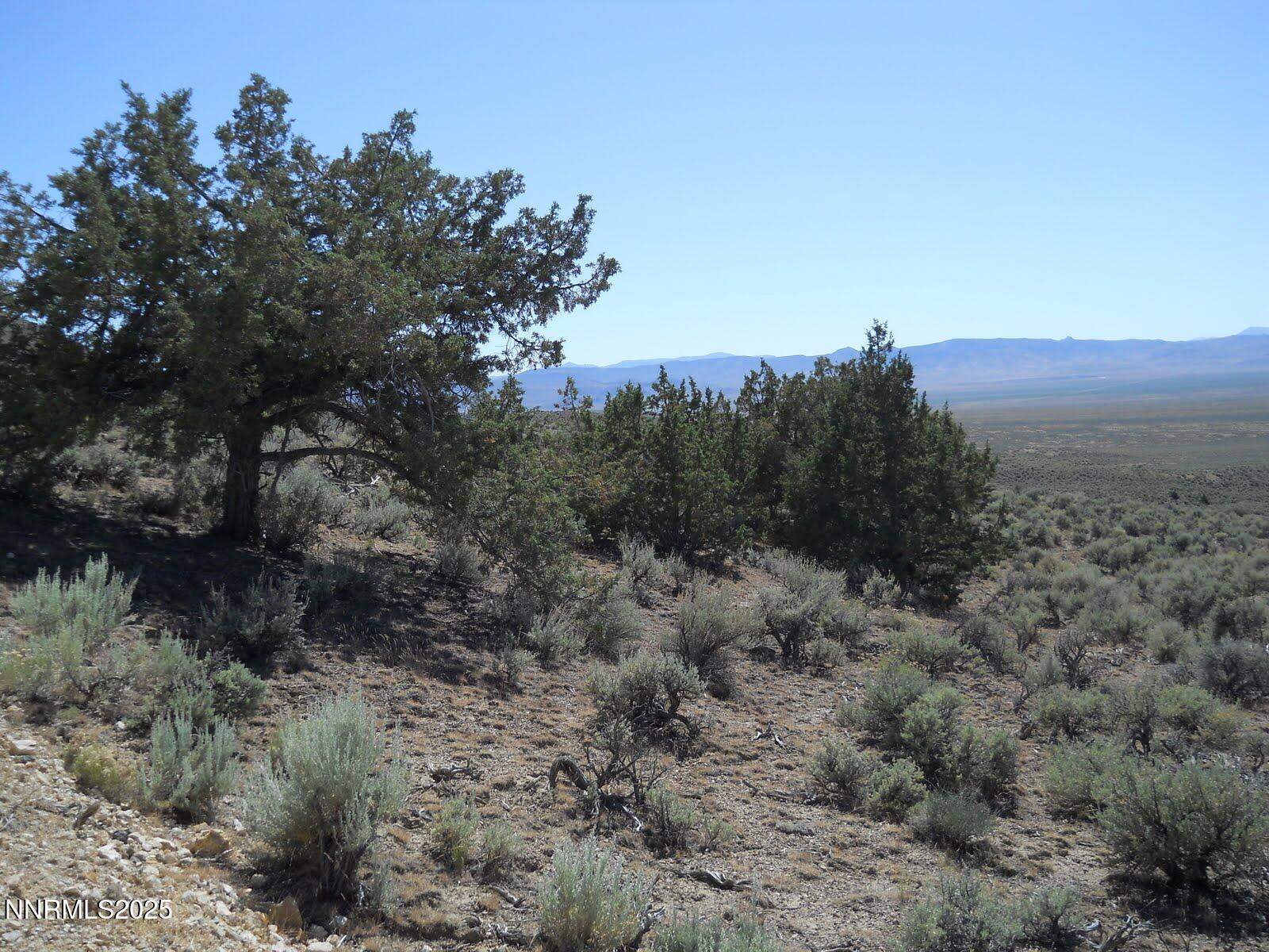 8210 Ml Crk Road, Battle Mountain, NV 89820