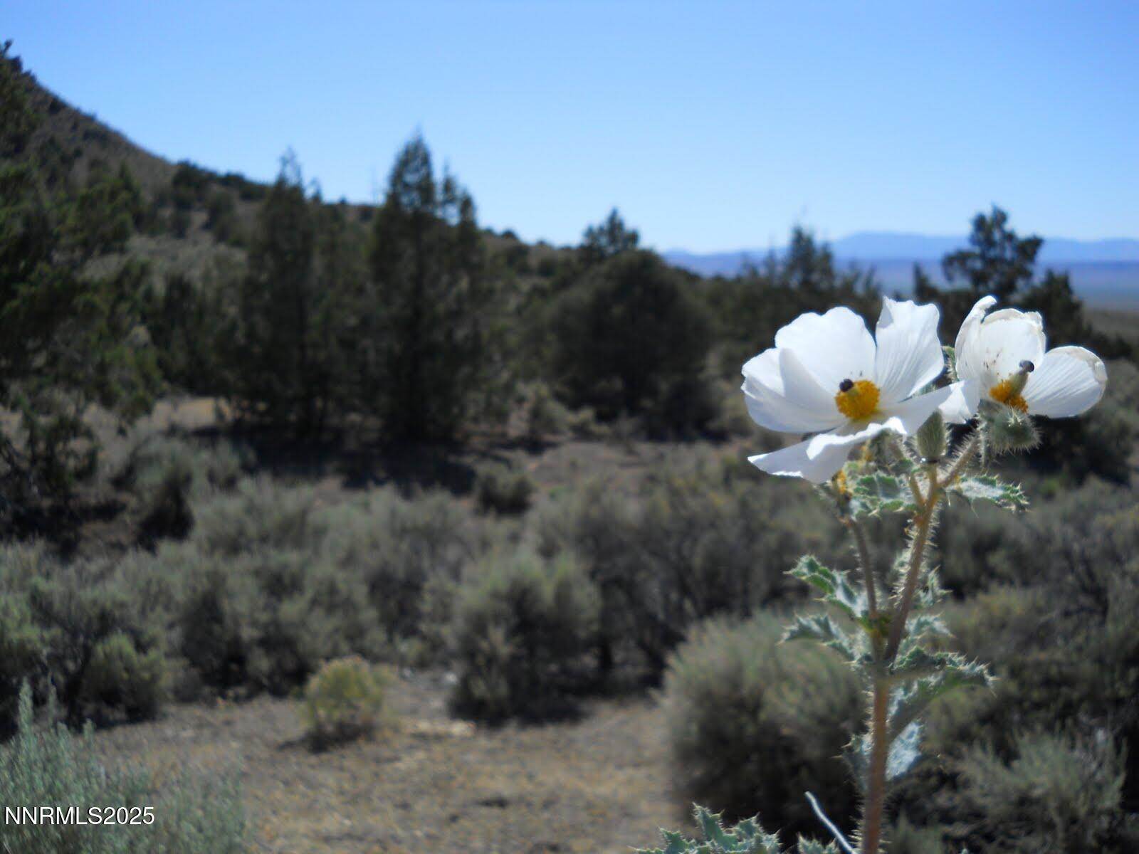 8210 Ml Crk Road, Battle Mountain, NV 89820