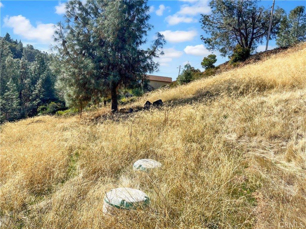 10203 El Capitan, Kelseyville, CA 95451