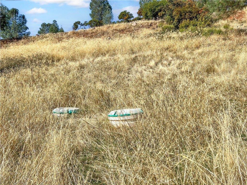 10203 El Capitan, Kelseyville, CA 95451