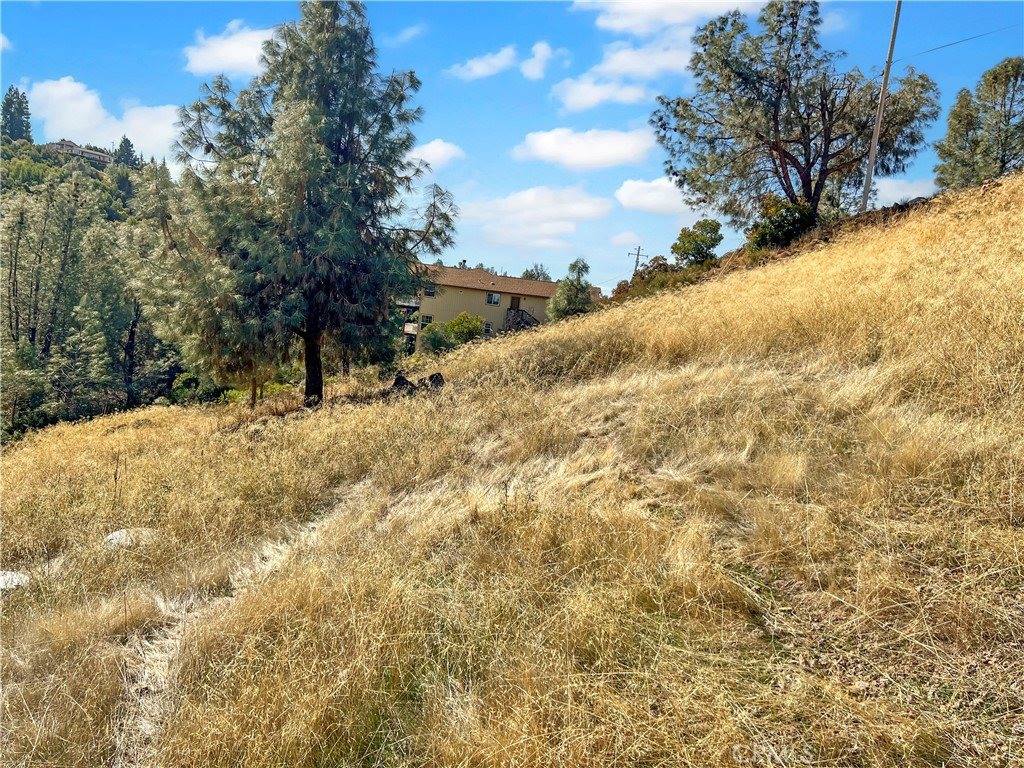 10203 El Capitan, Kelseyville, CA 95451