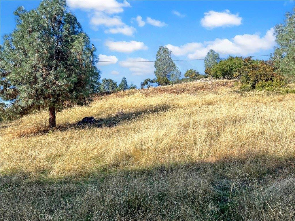 10203 El Capitan, Kelseyville, CA 95451