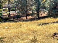 10203 El Capitan, Kelseyville, CA 95451