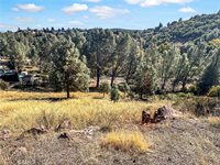 10203 El Capitan, Kelseyville, CA 95451