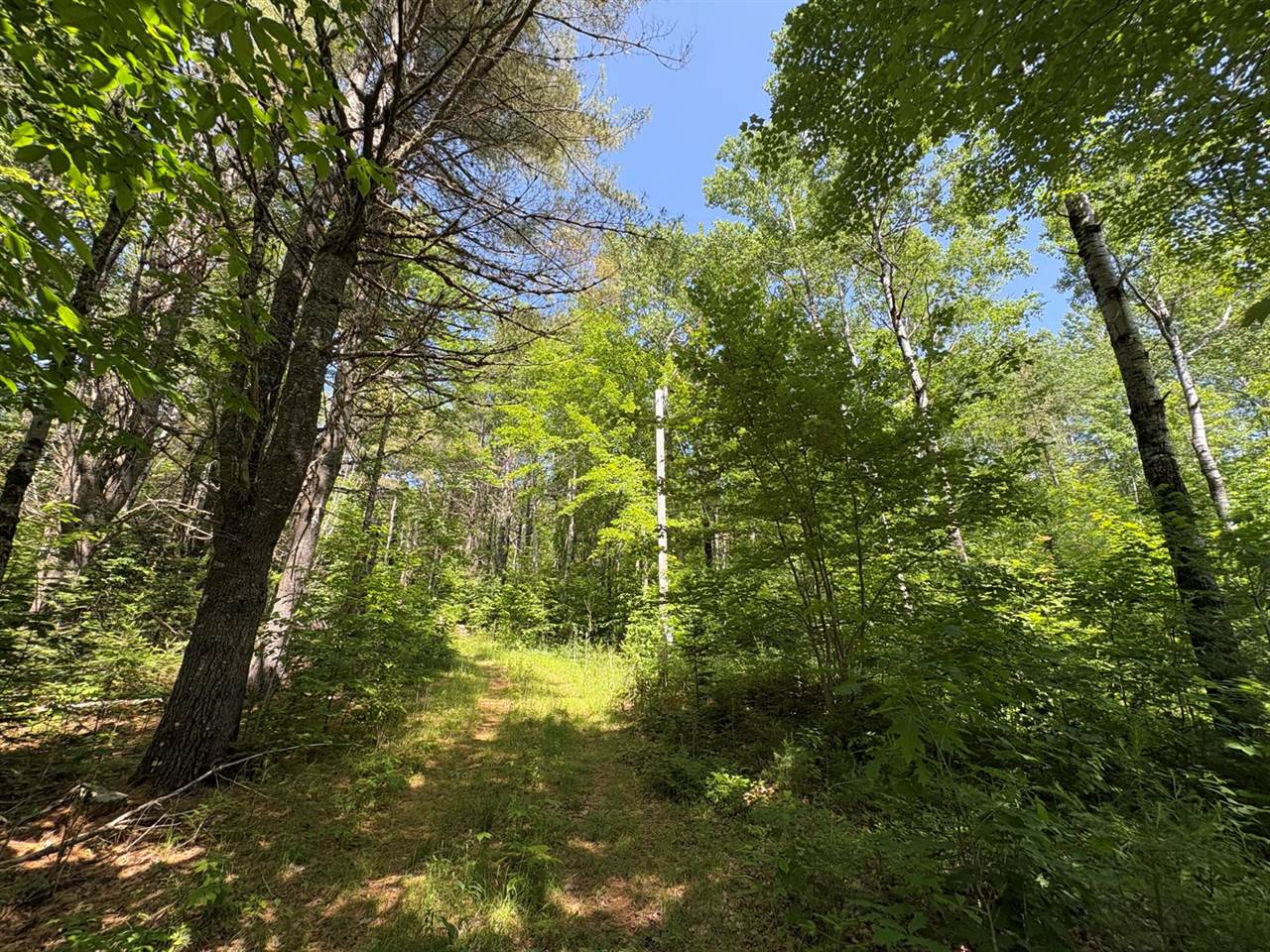 Off Andrews Road, Drew Plt, ME 04497