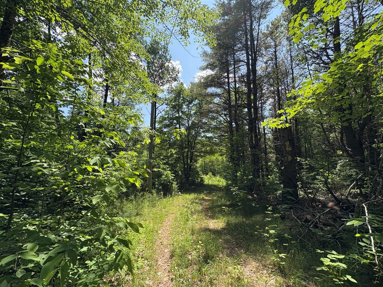 Off Andrews Road, Drew Plt, ME 04497